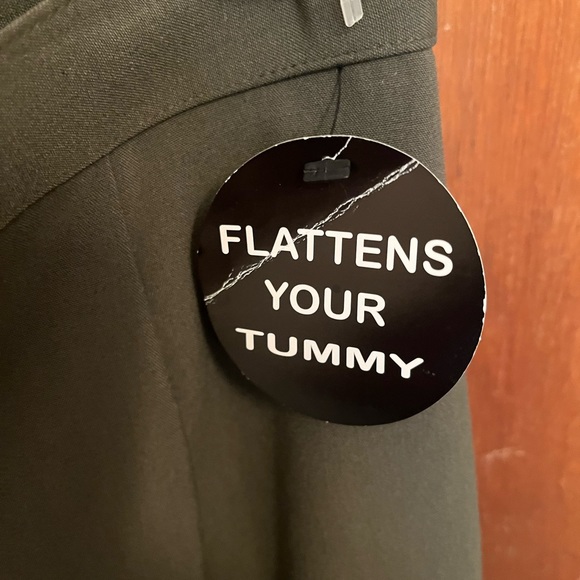 NWT Dressbarn Green Dress Pants 18W - Picture 6 of 9